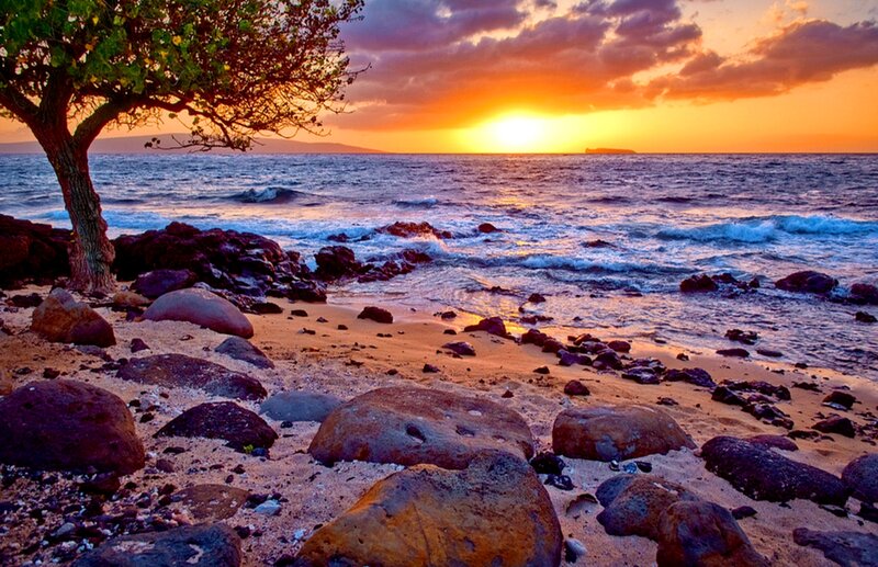 Sunset at Rocky Beach — Orange, Serene, Photograph, Tree