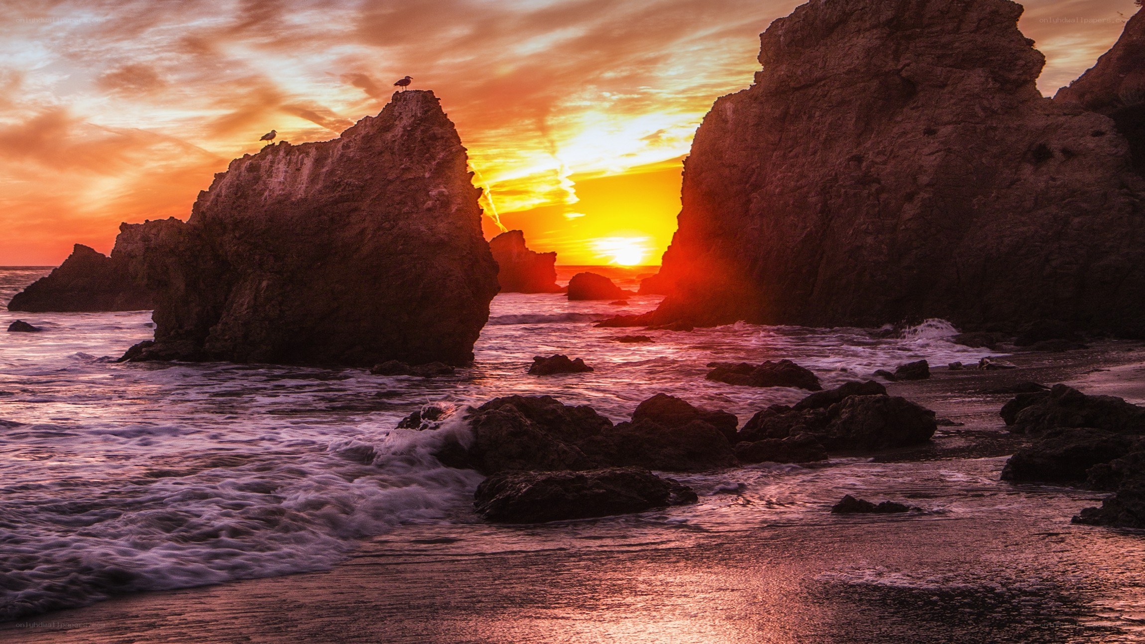 Sunset at rocky coastline