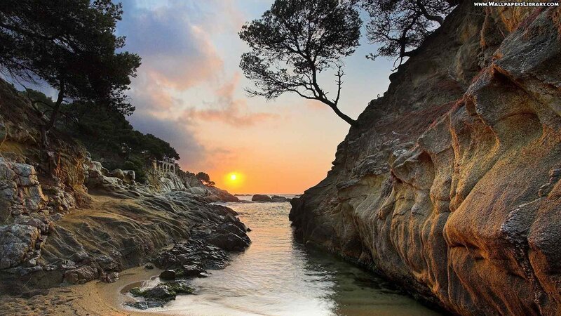 Sunset at Rocky Cove — Orange, Serene, Photograph, Trees