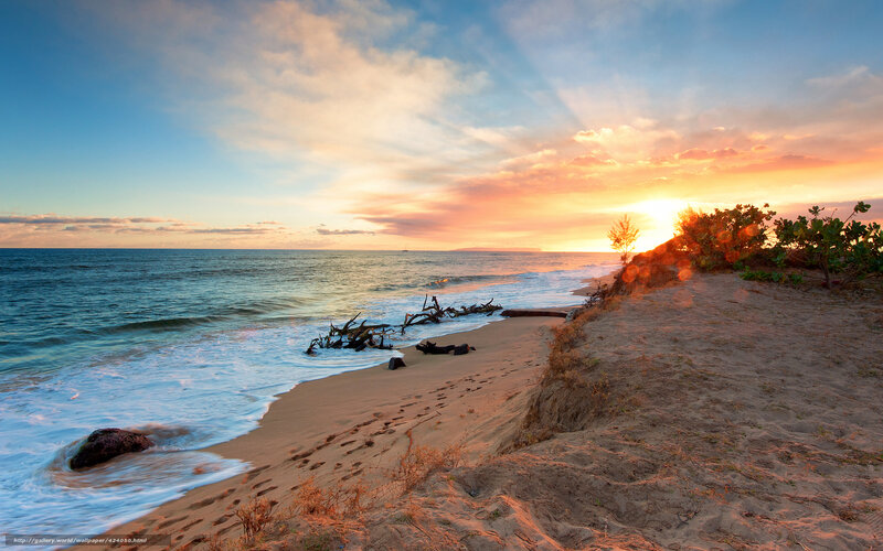 Sunset at Sandy Beach — Blue, Serene, Photograph, Ocean, Driftwood, Sand Dune, Orange