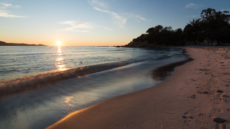 Sunset at Sandy Beach — Blue, Serene, Photograph, Ocean, Sand, Trees