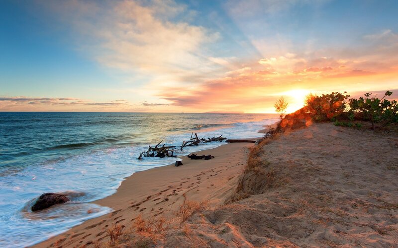 Sunset at Sandy Beach — Orange, Serene, Photograph, Ocean, Driftwood, Dunes
