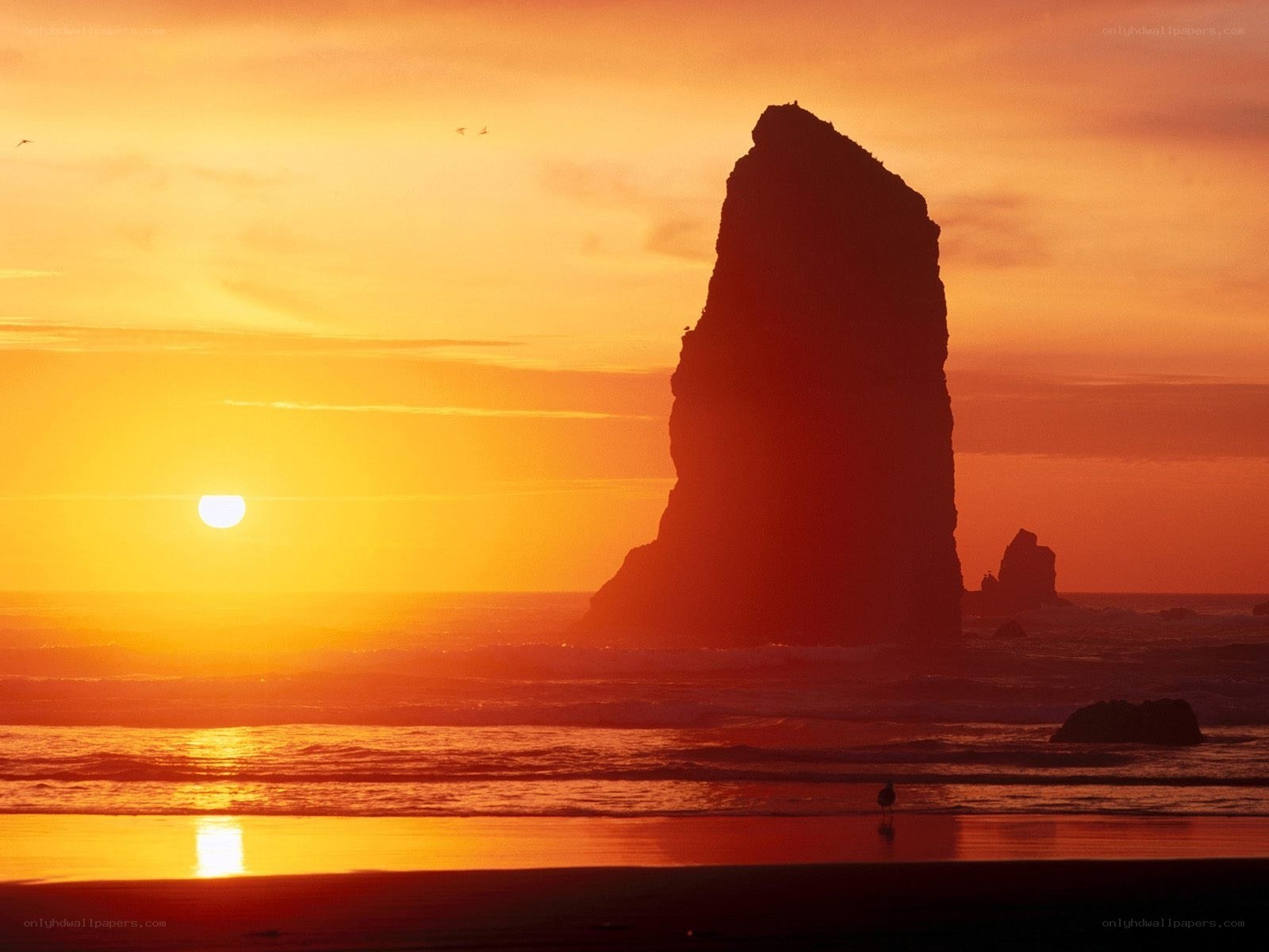 Sunset at sea stack