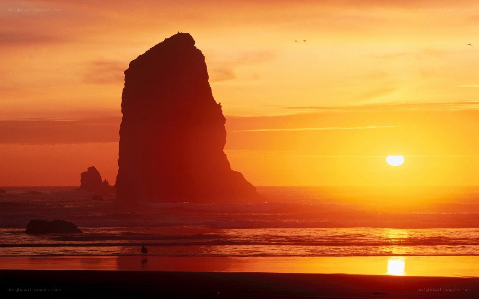 Sunset at sea with rock formation