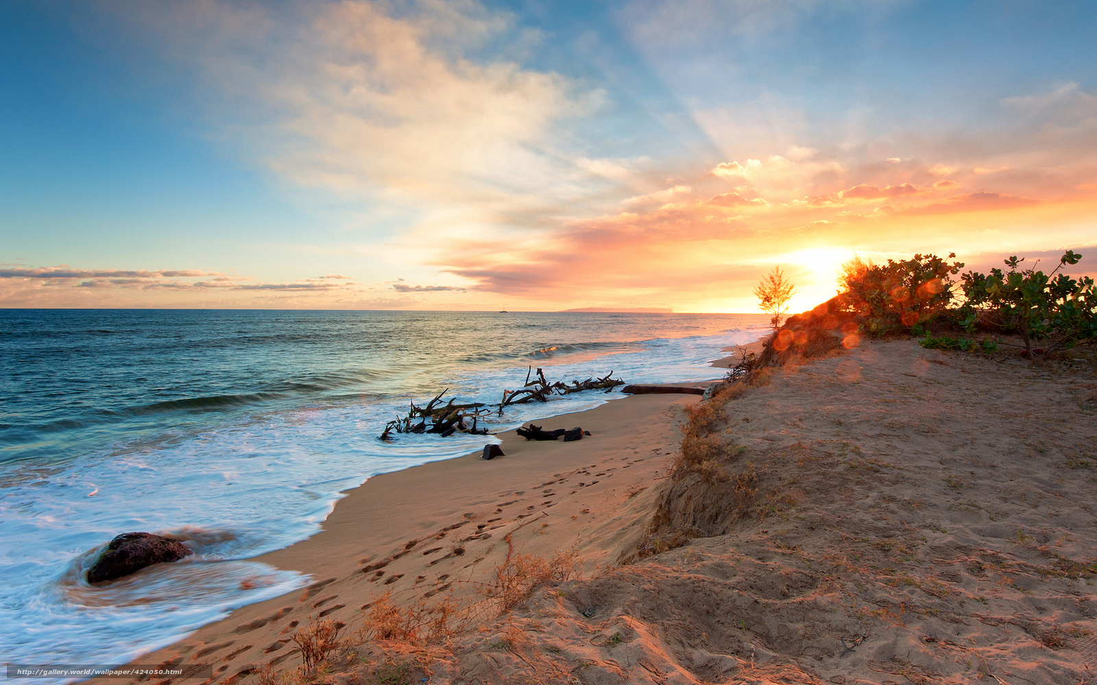 sunset at the beach