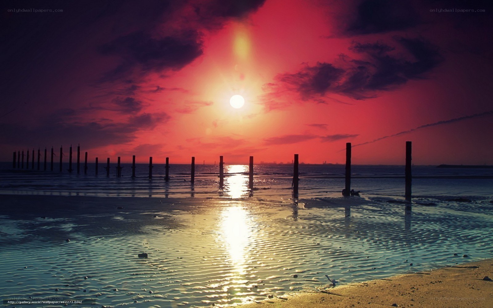 sunset at the beach
