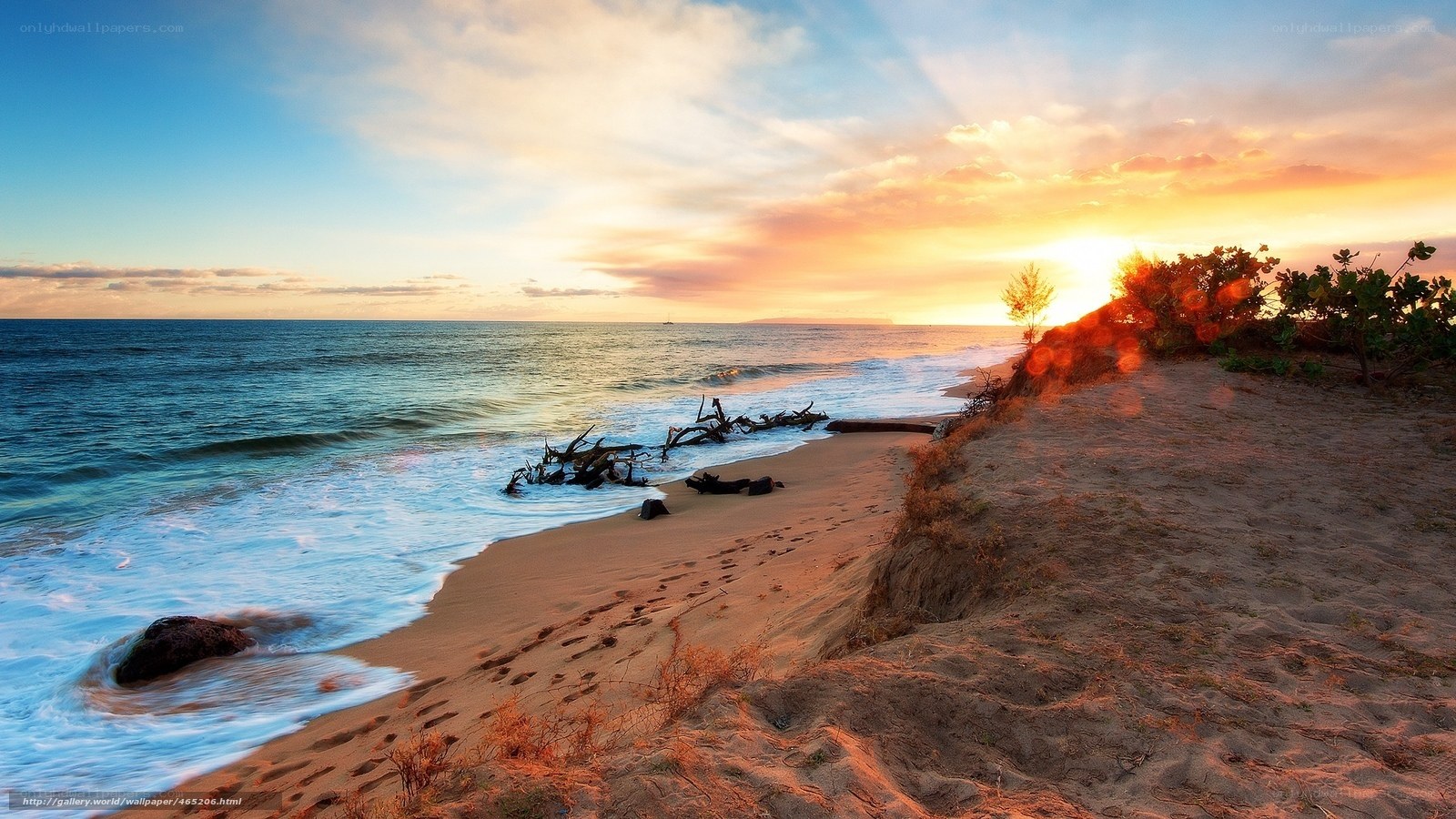 sunset at the beach