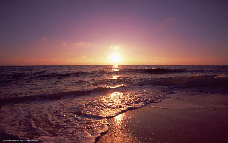 sunset at the beach