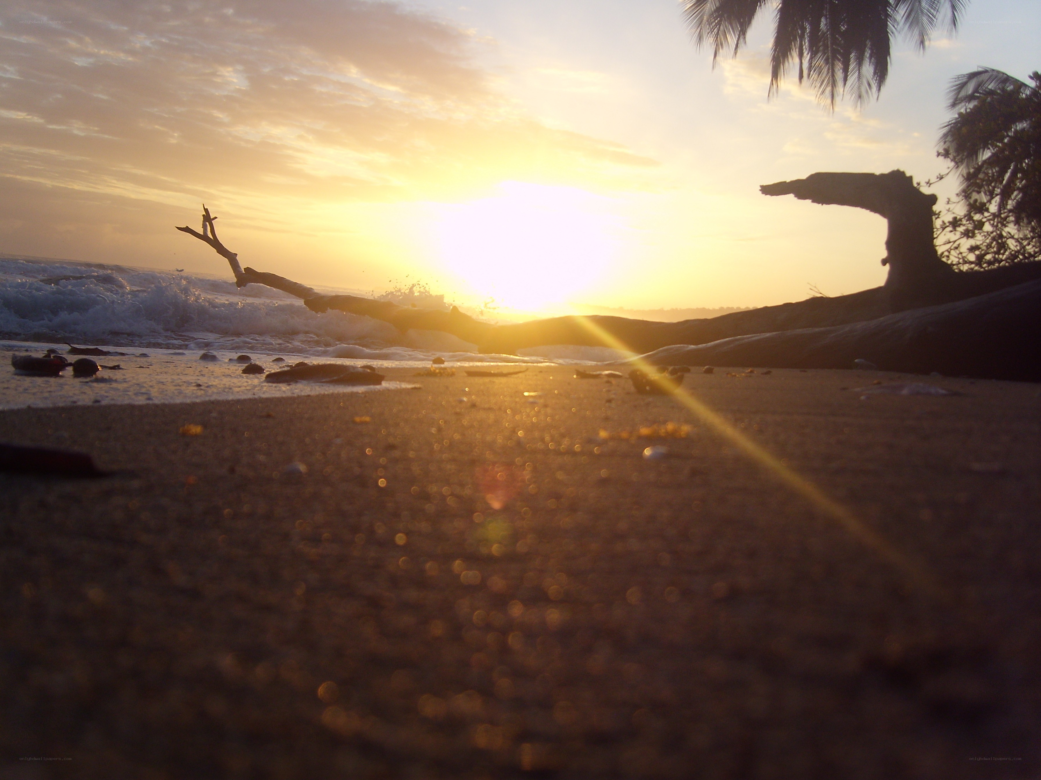 sunset at the beach