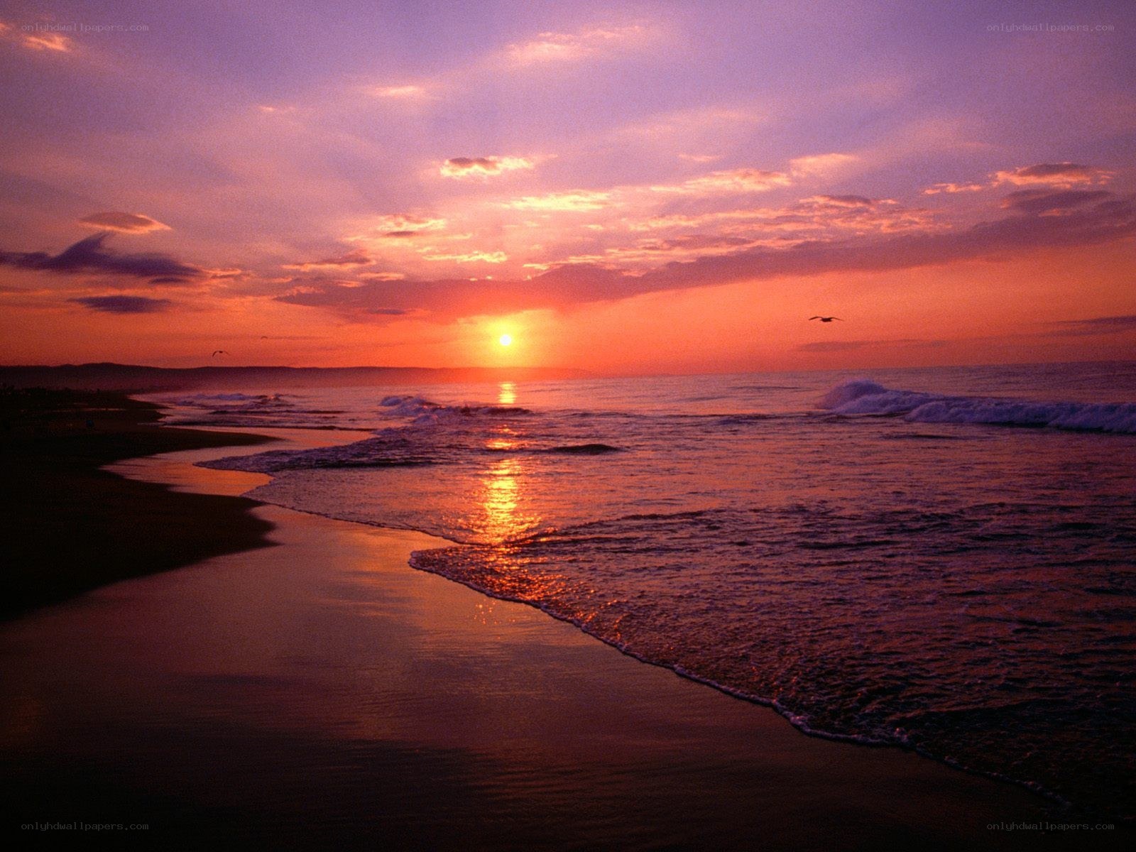 sunset at the beach