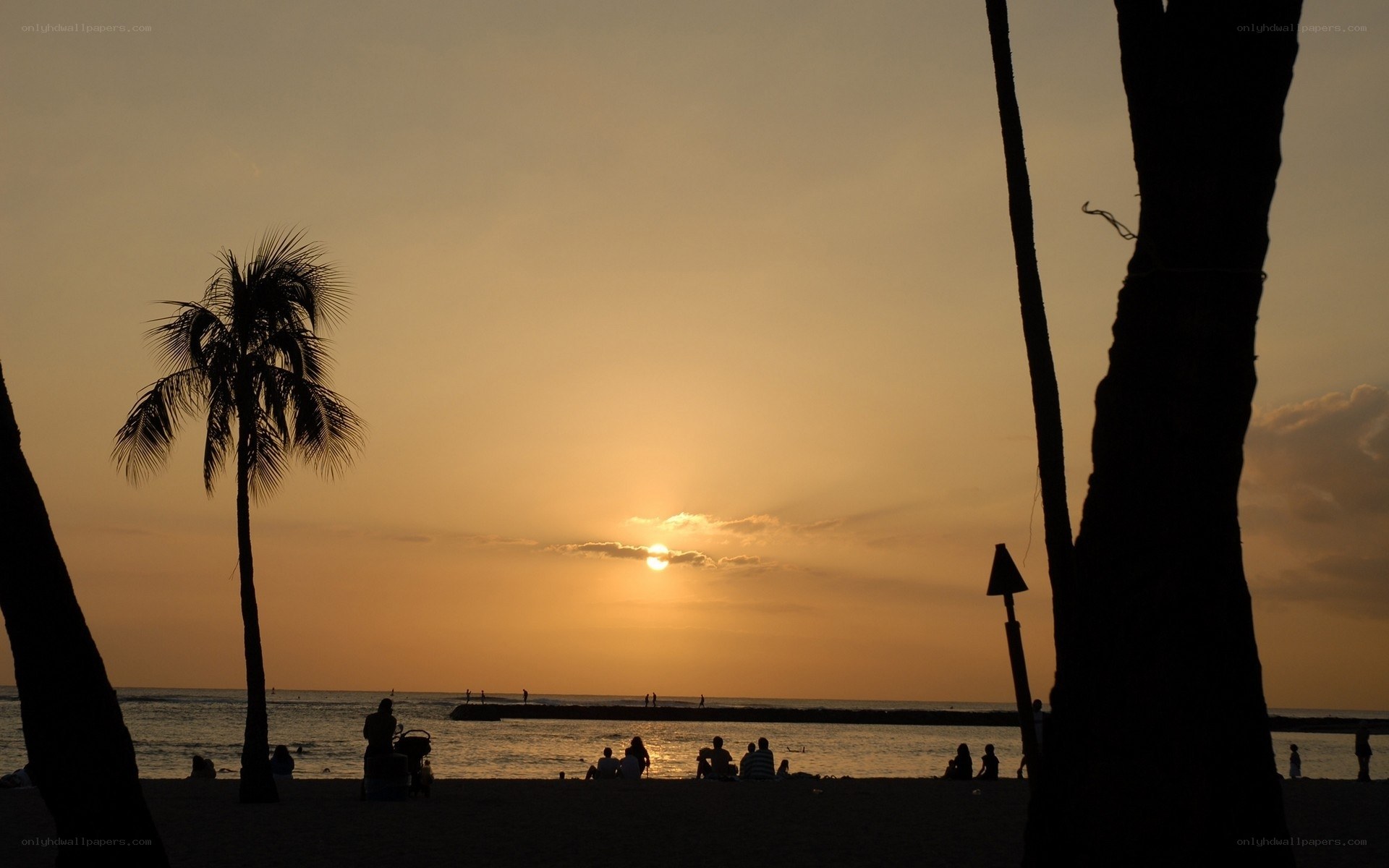 sunset at the beach