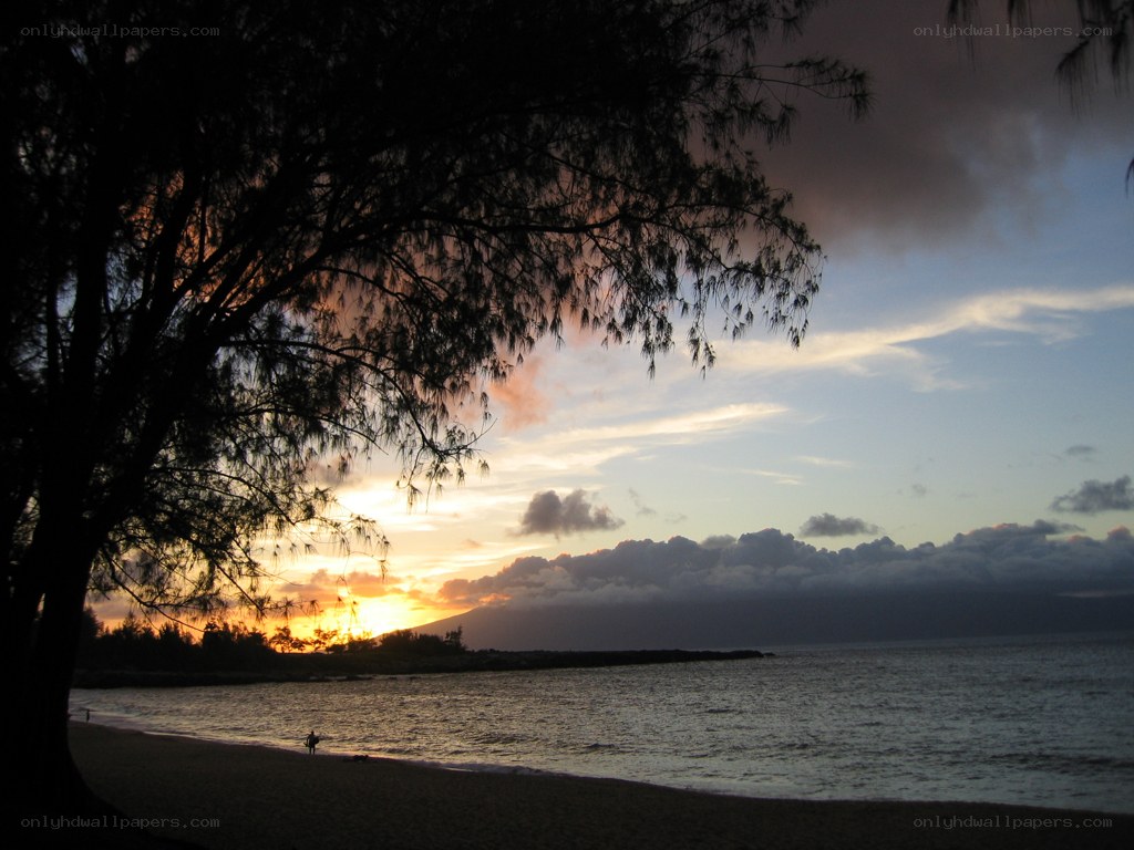 sunset at the beach