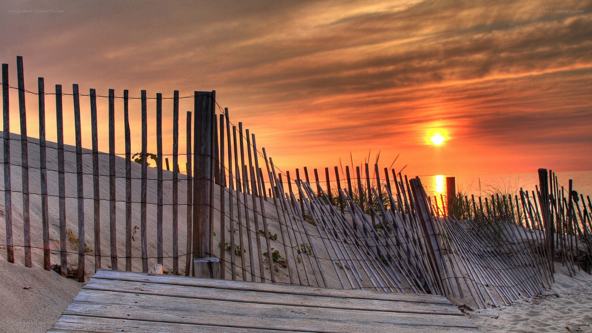 sunset at the beach