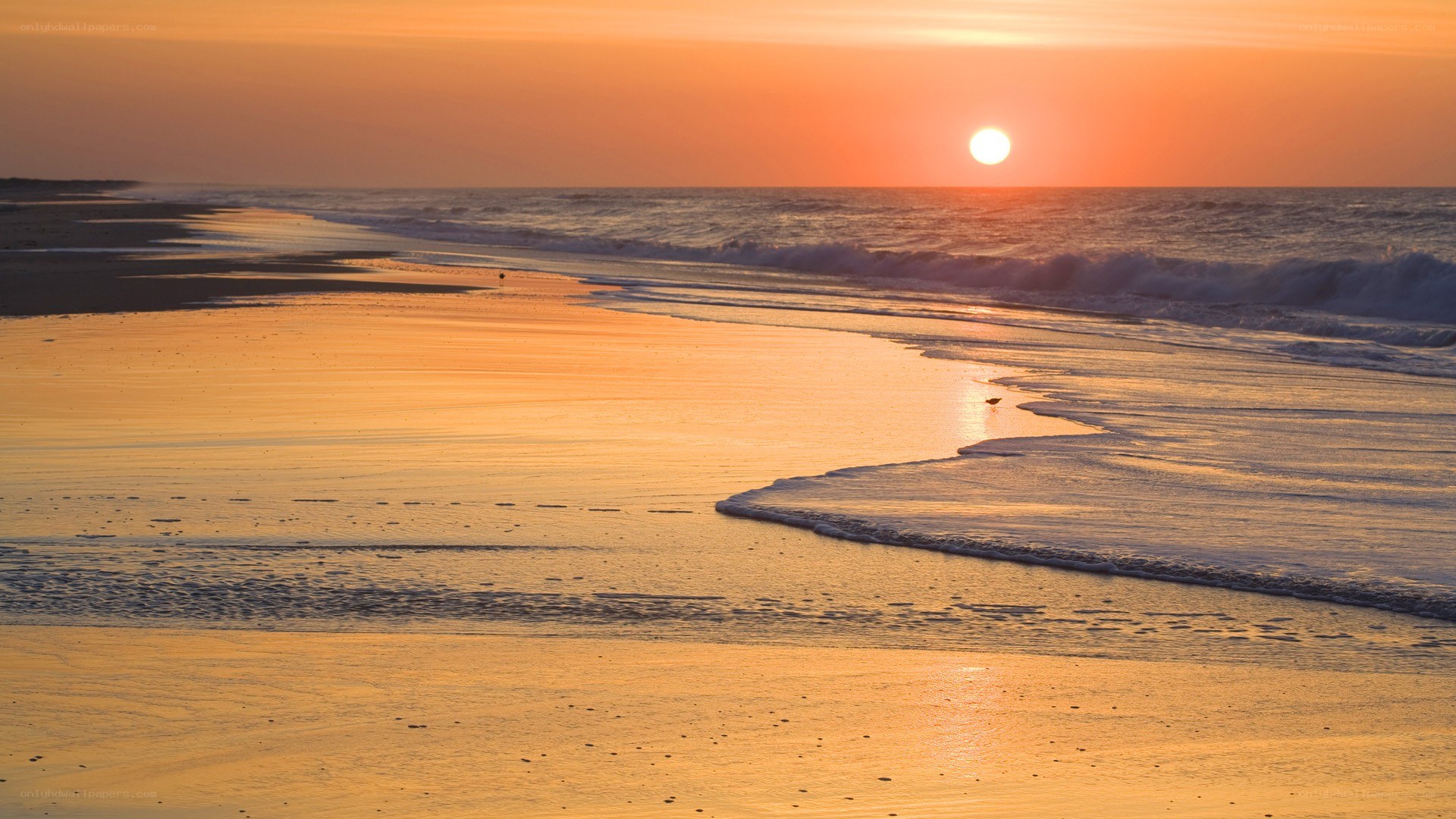 sunset at the beach