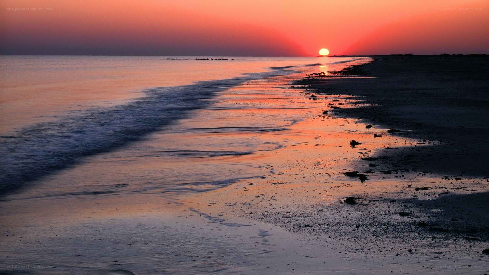 sunset at the beach