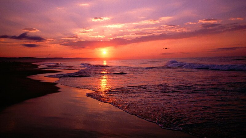 sunset at the beach