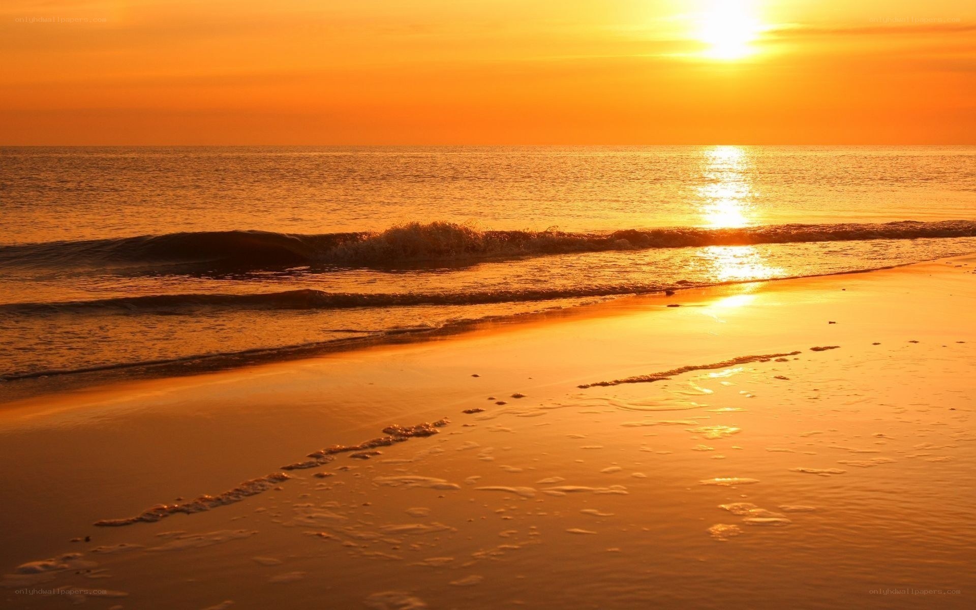 sunset at the beach