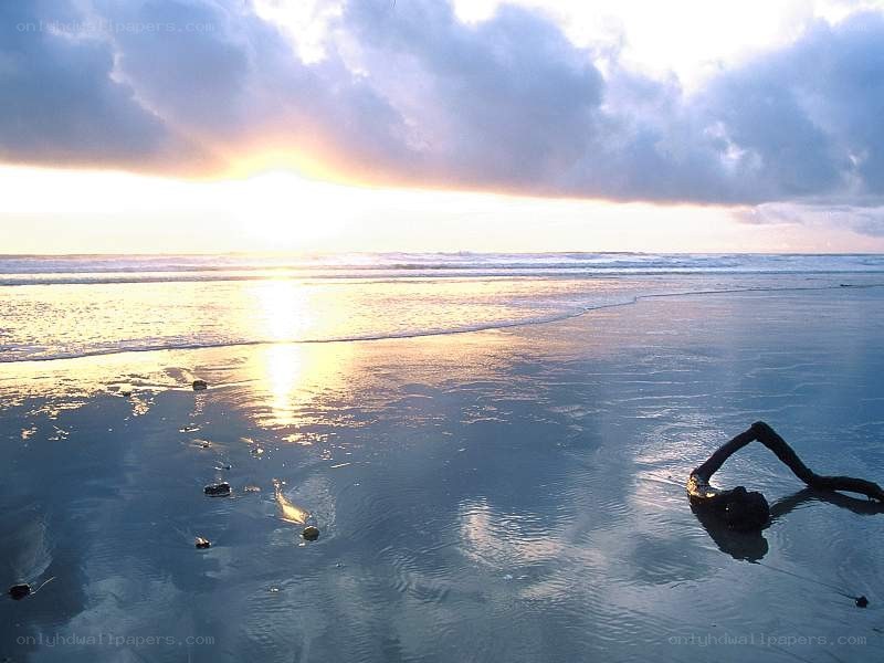 sunset at the beach