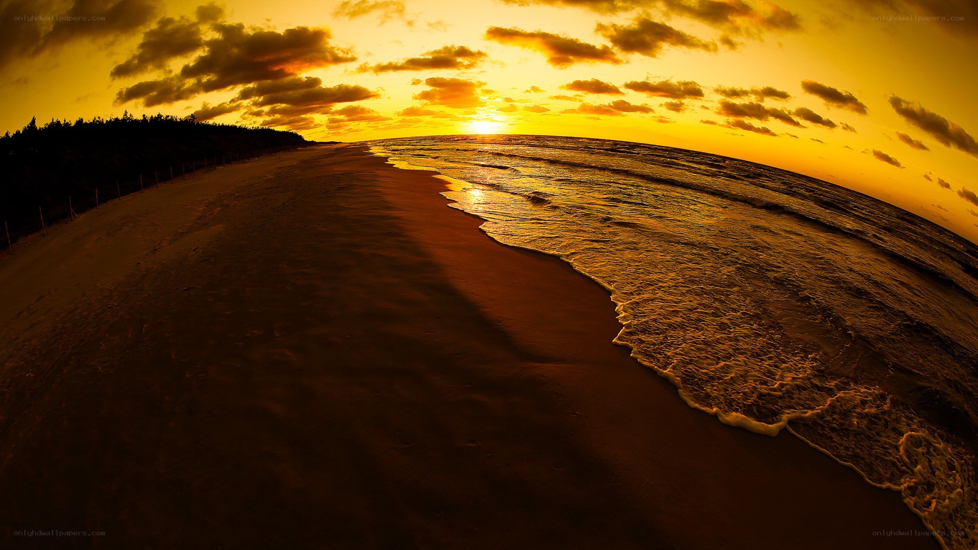 sunset at the beach