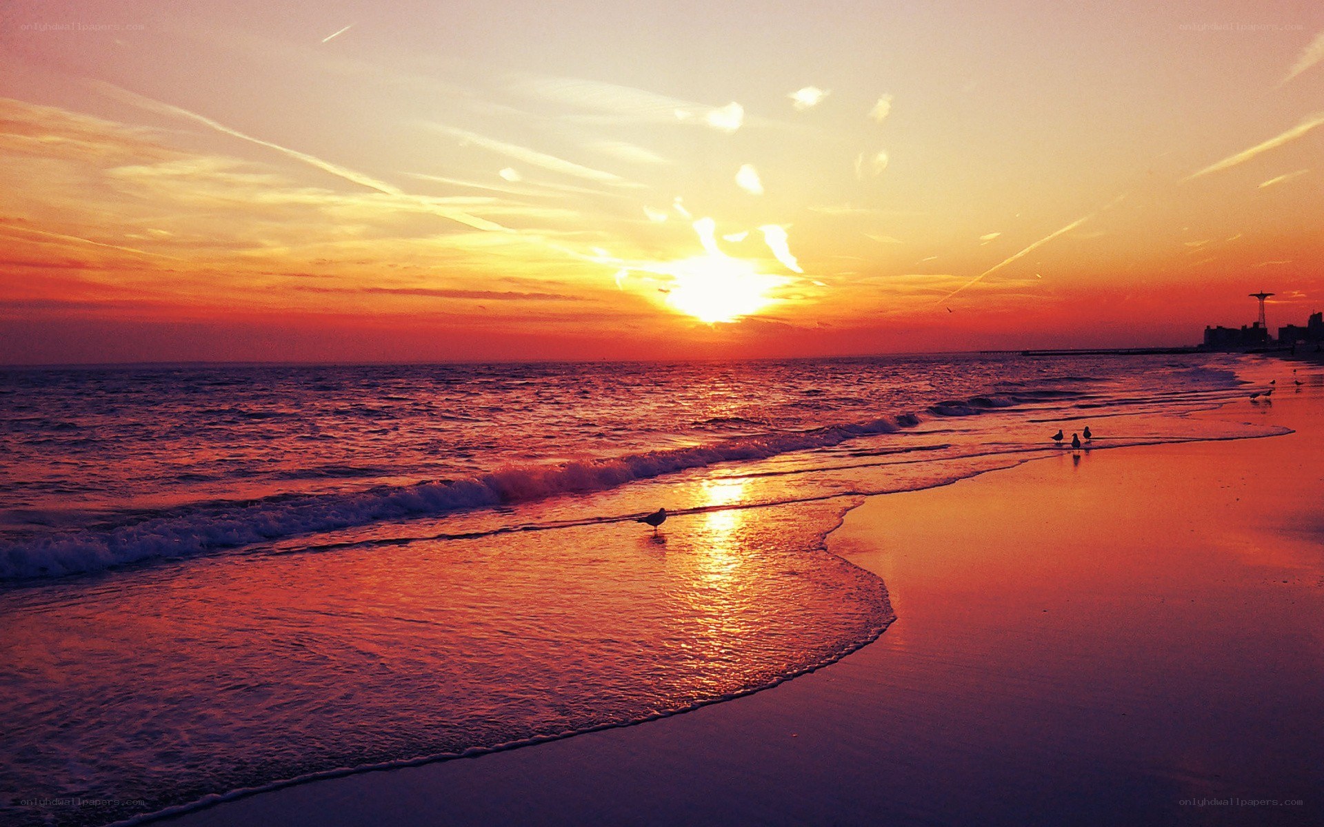 sunset at the beach