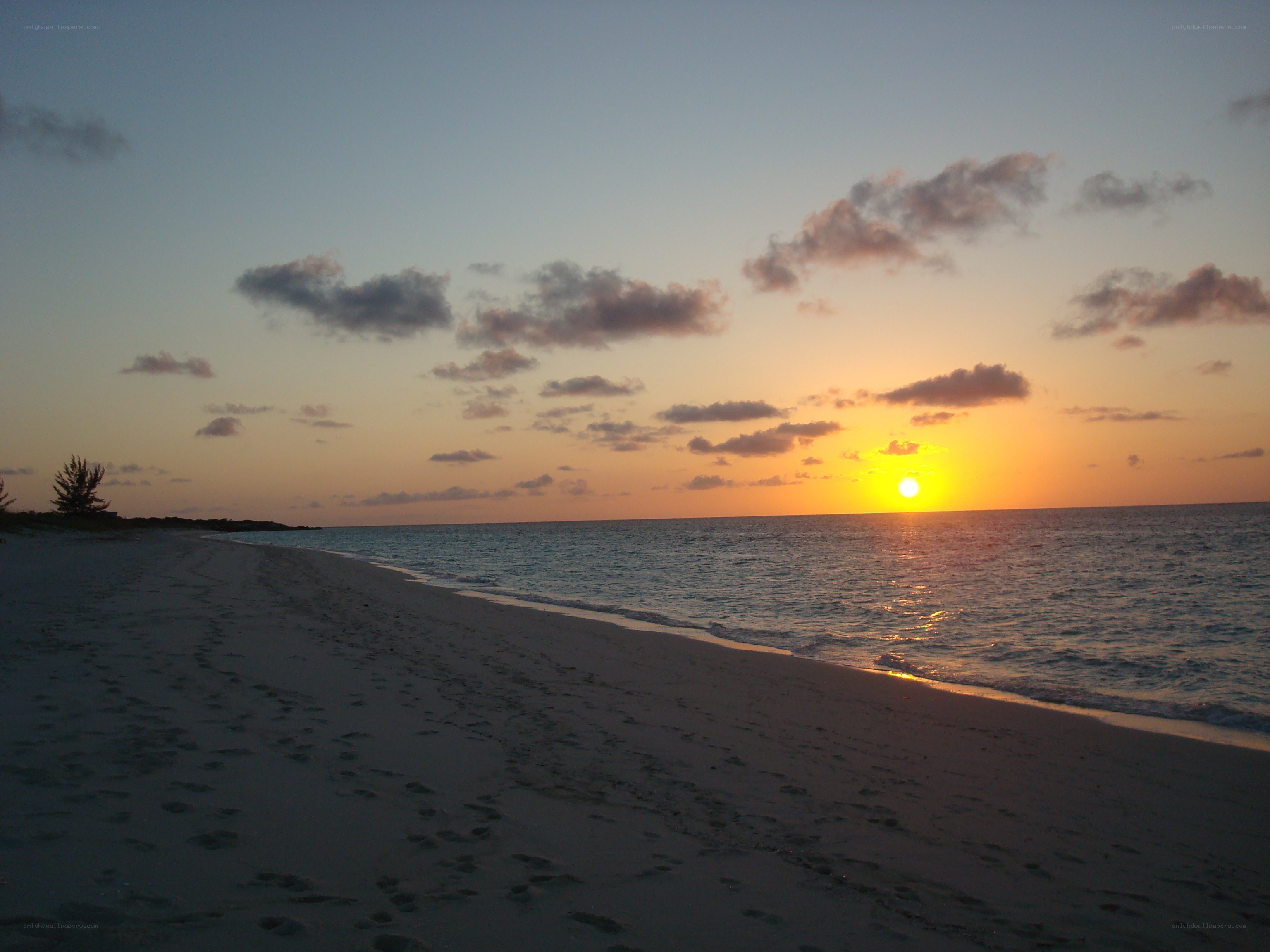 sunset at the beach