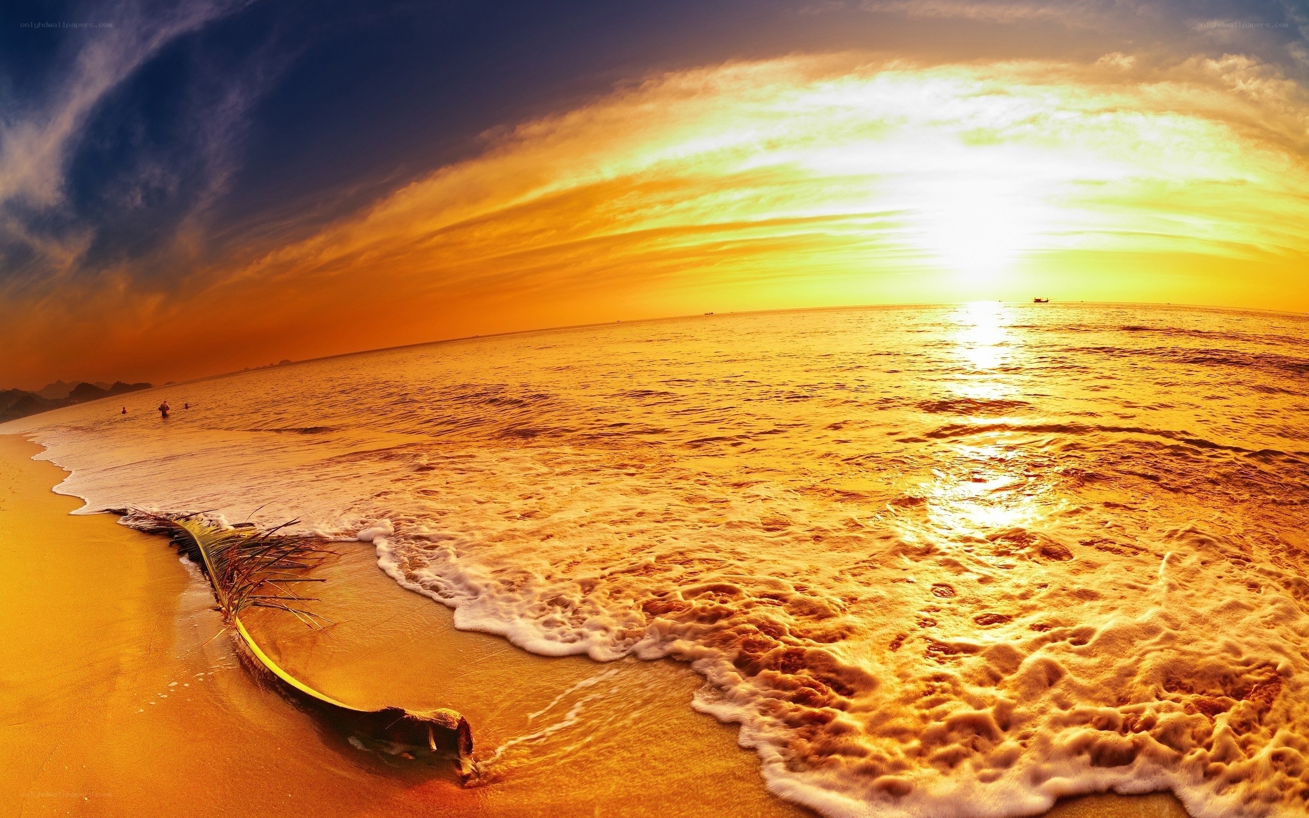 sunset at the beach