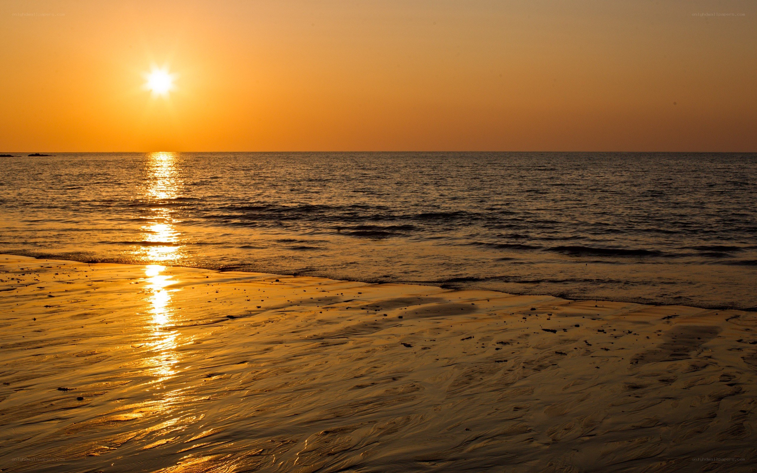 sunset at the beach