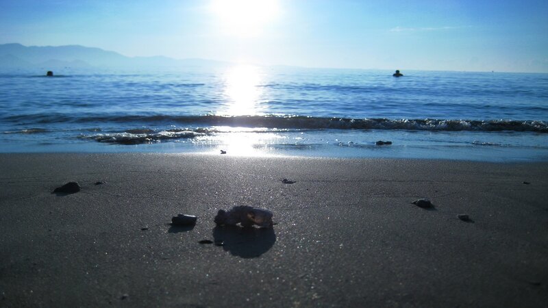 Sunset at the beach