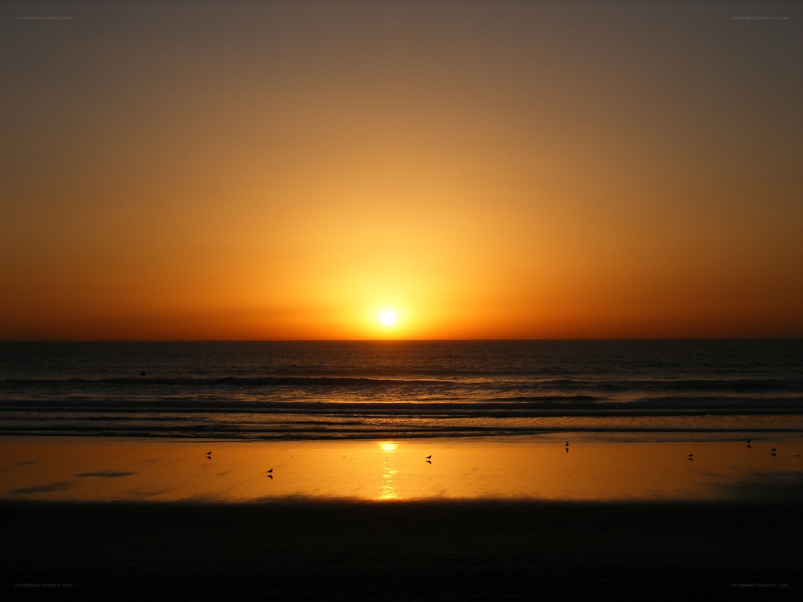 sunset at the beach