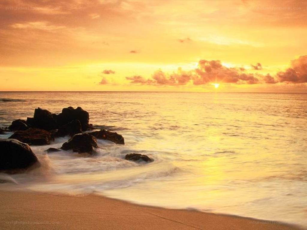 sunset at the beach