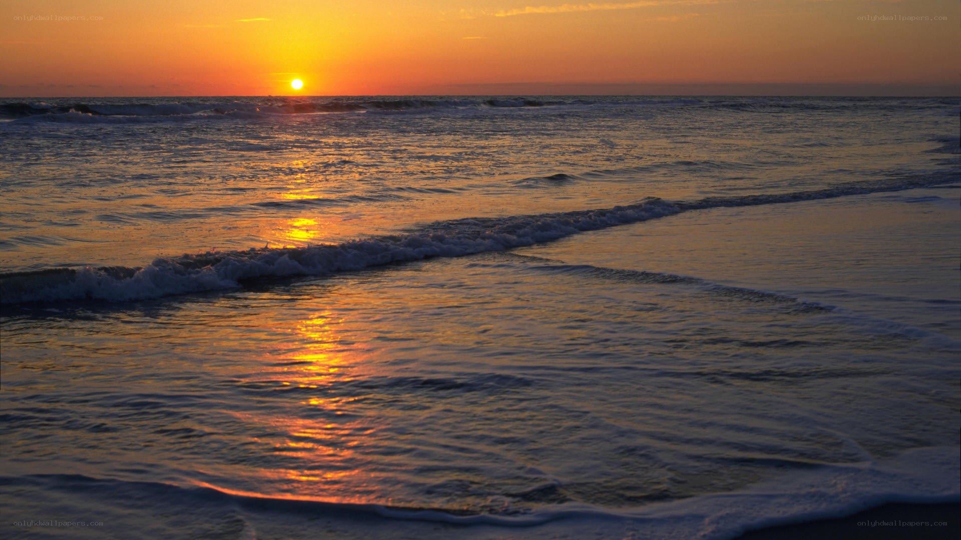sunset at the beach