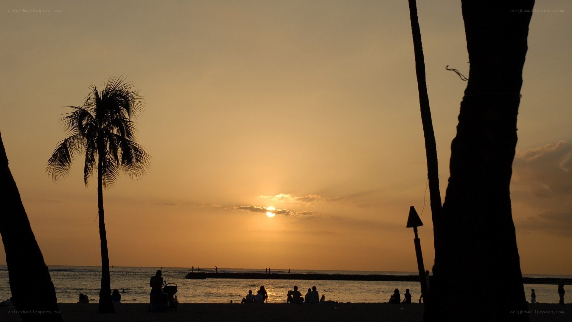 sunset at the beach