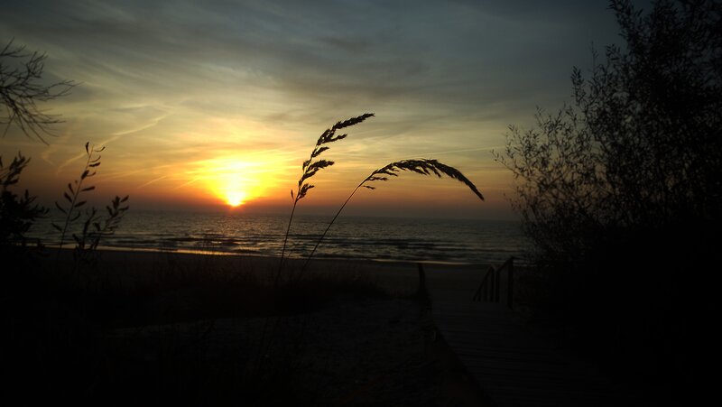 sunset at the beach