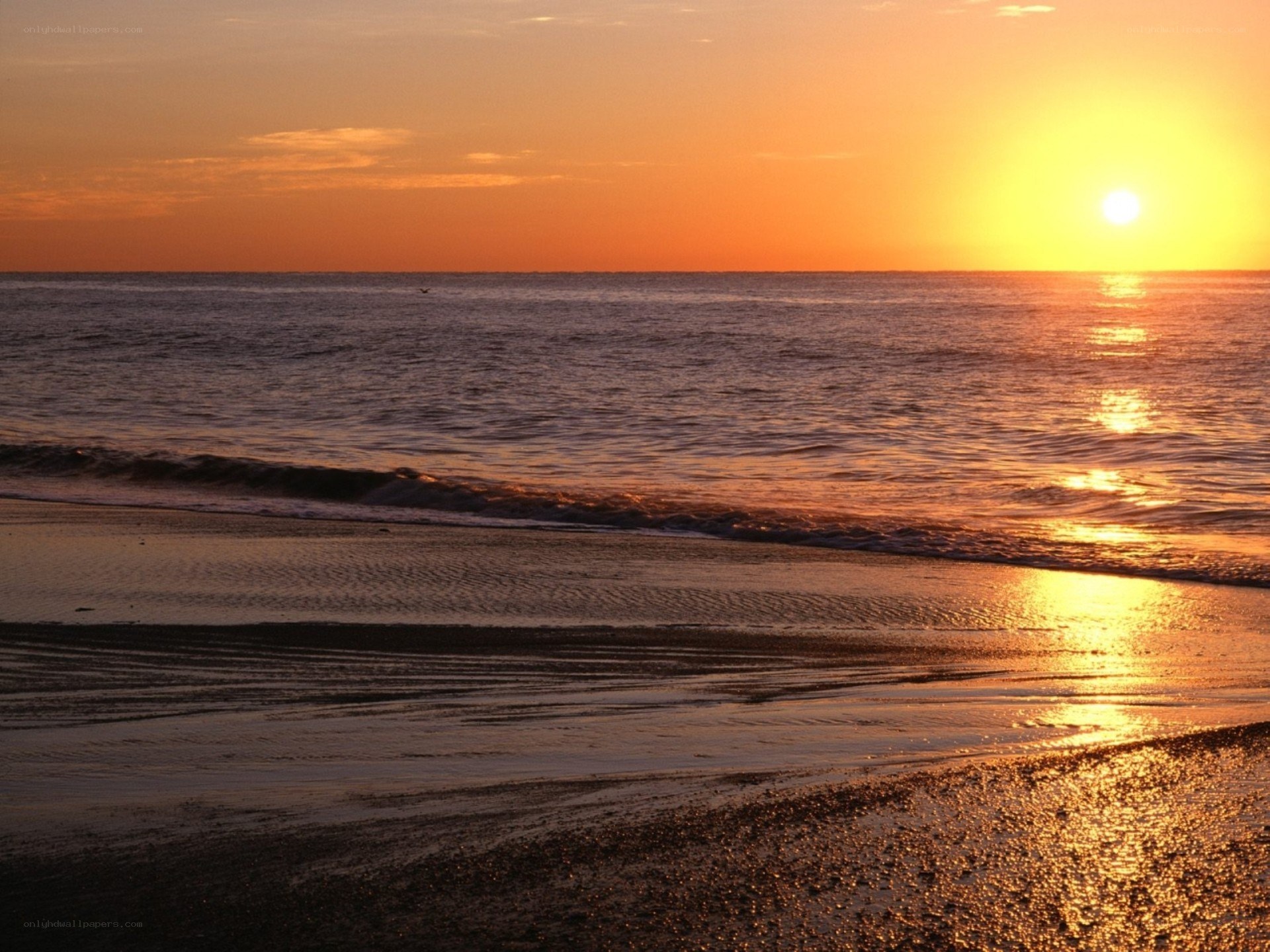 Sunset at the beach