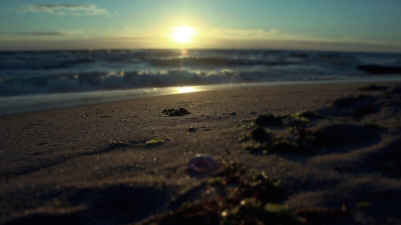 sunset at the beach