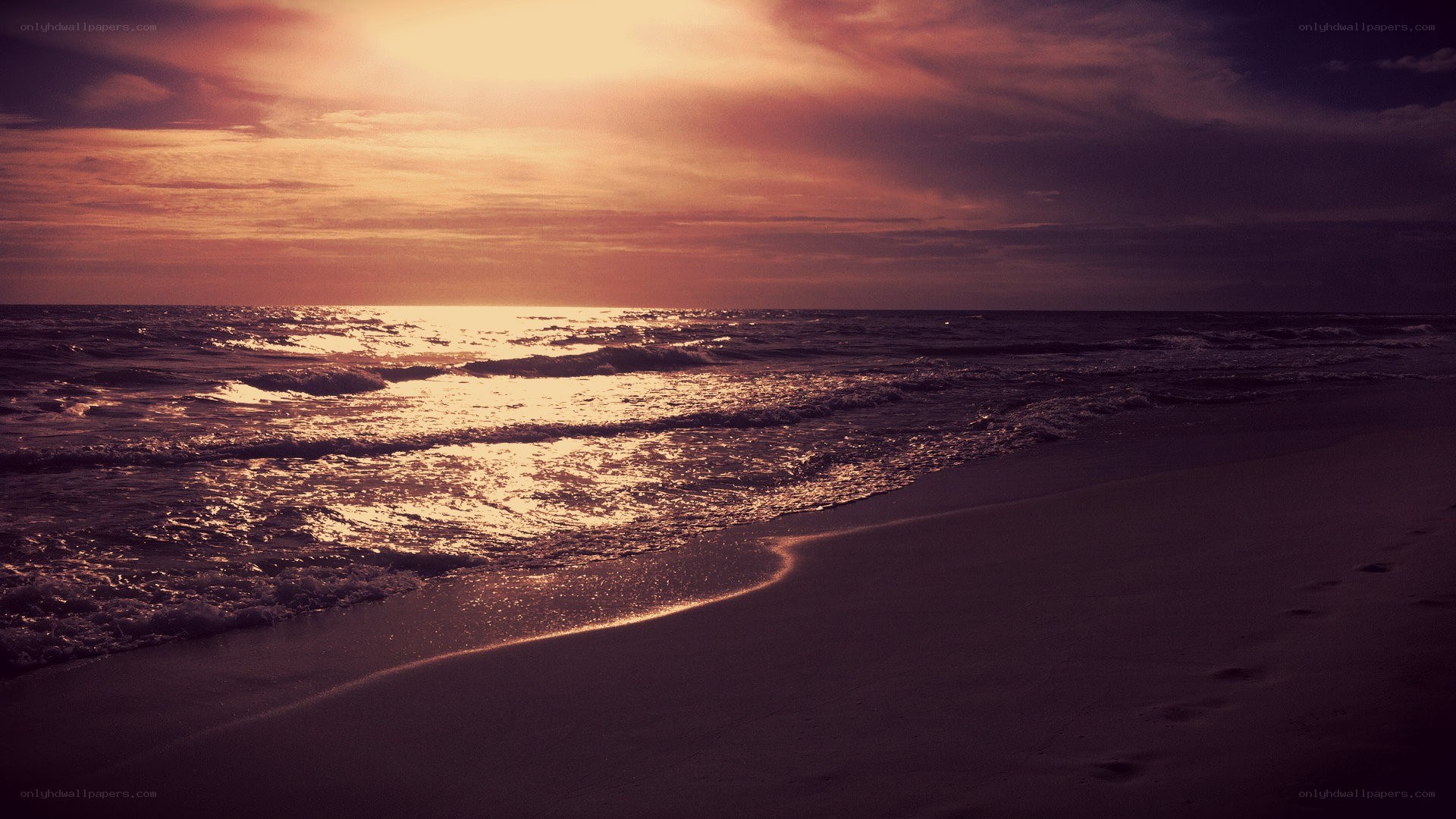 sunset at the beach