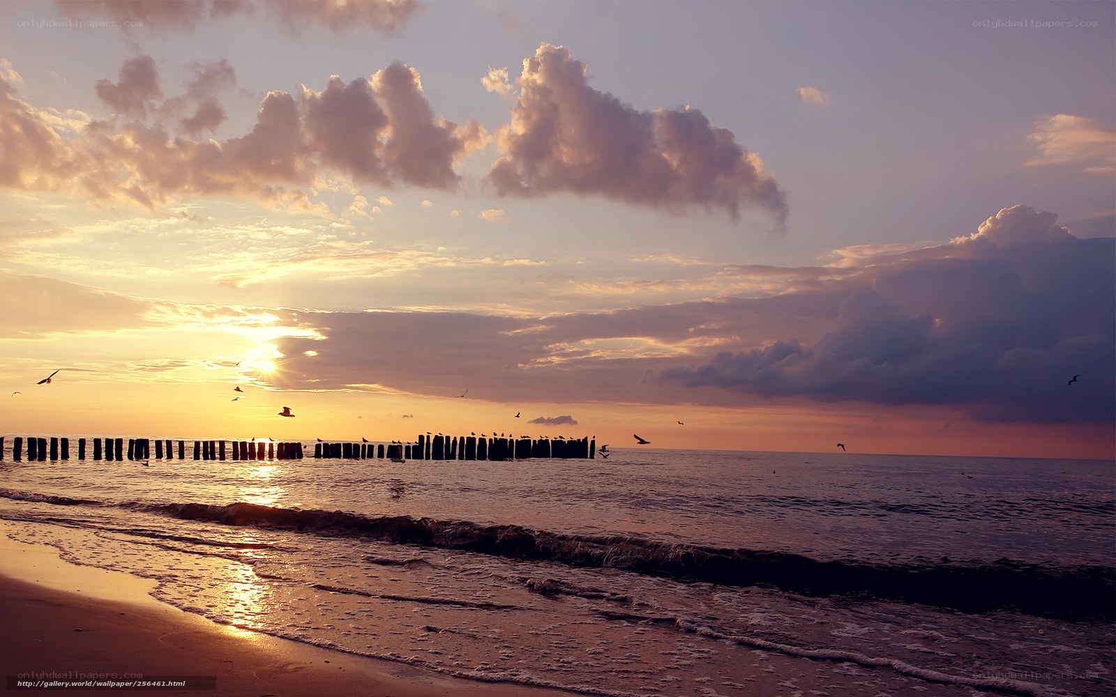 sunset at the beach