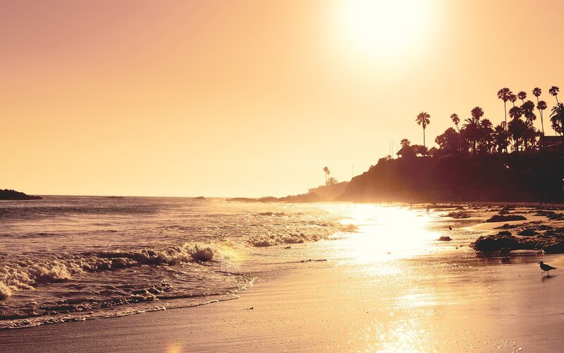 sunset at the beach