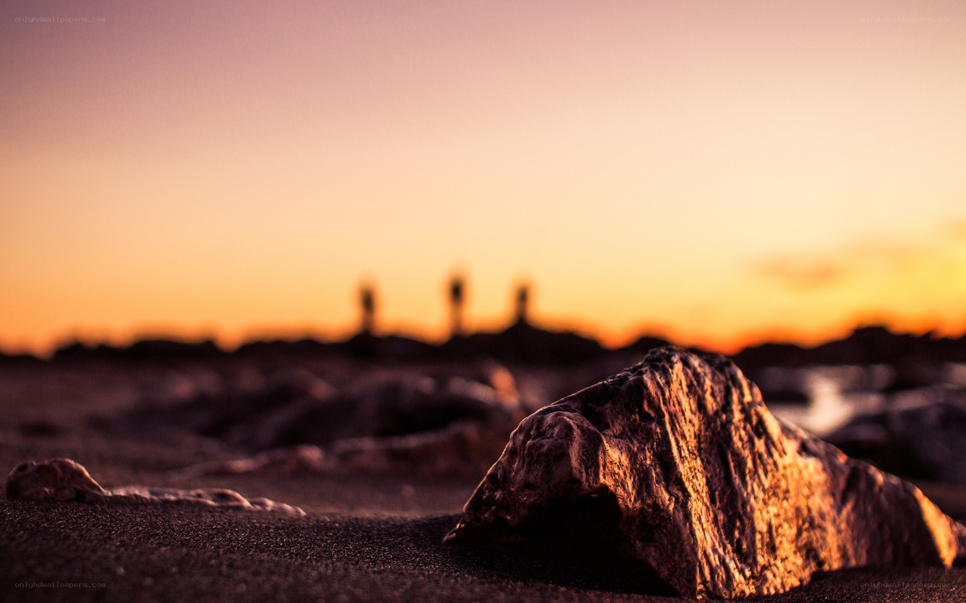 sunset at the beach