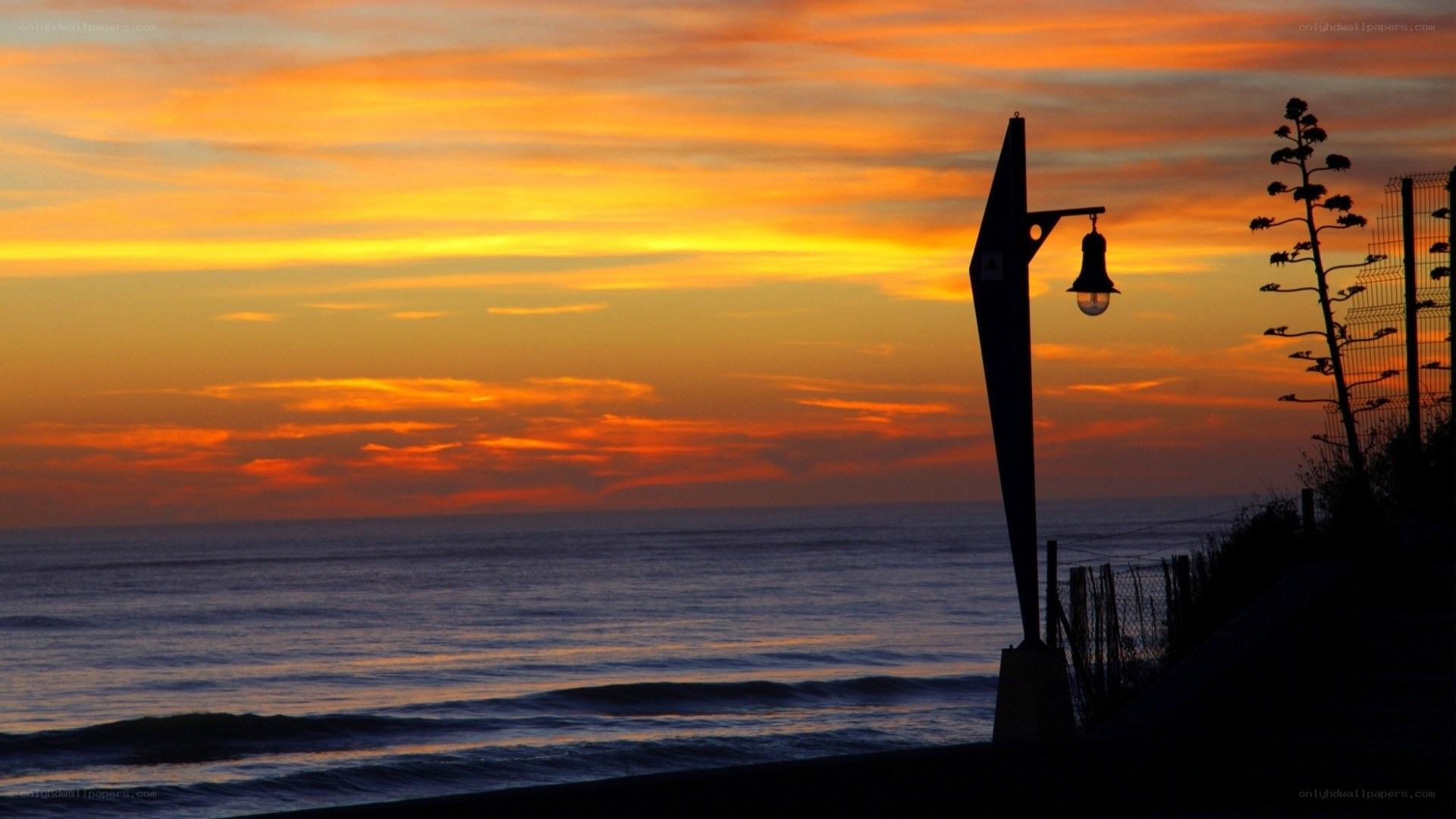 sunset at the beach