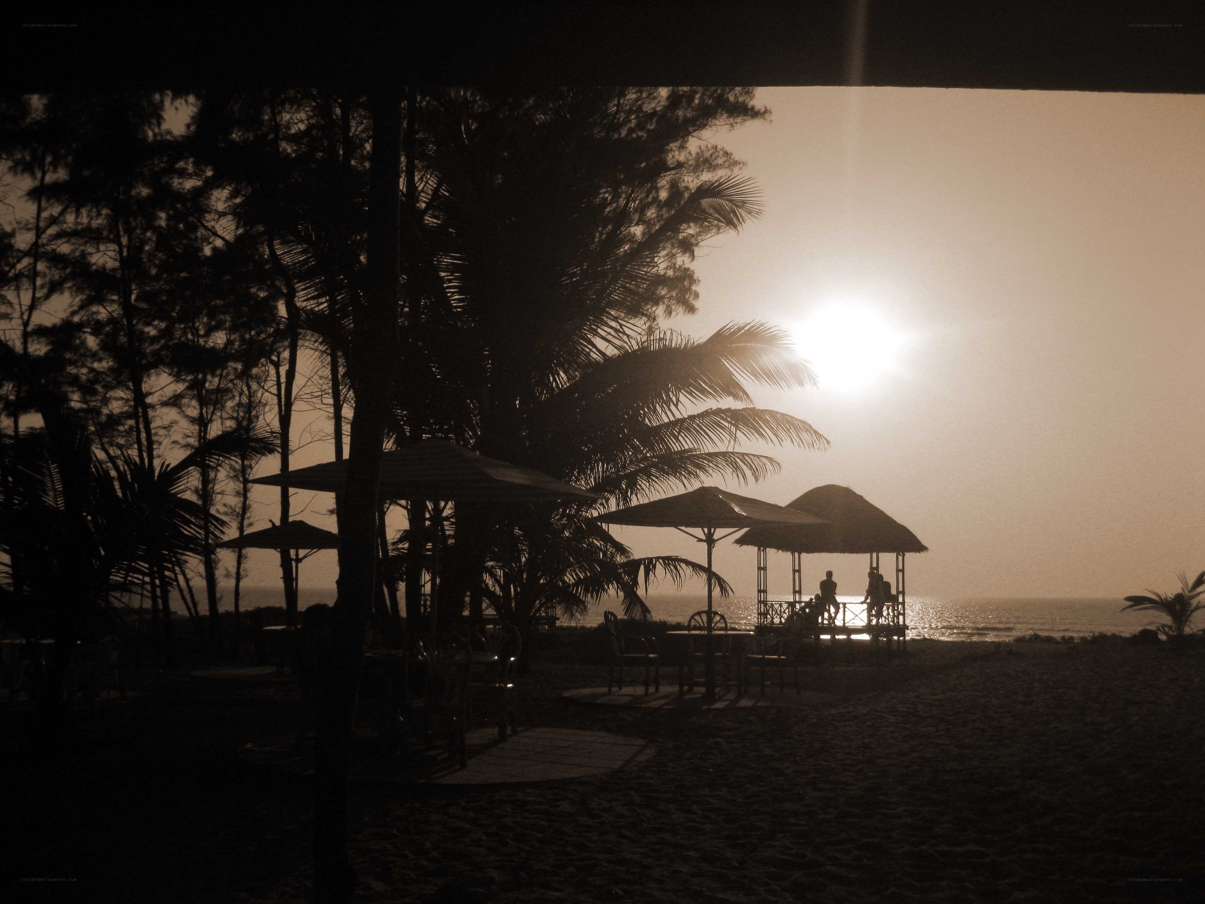 sunset at the beach