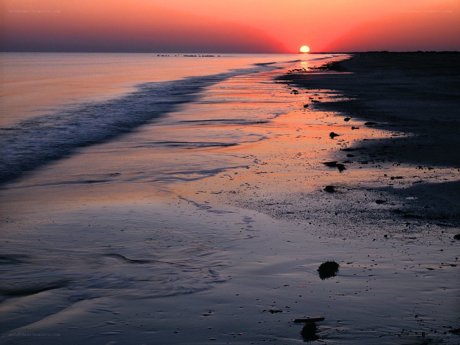 sunset at the beach