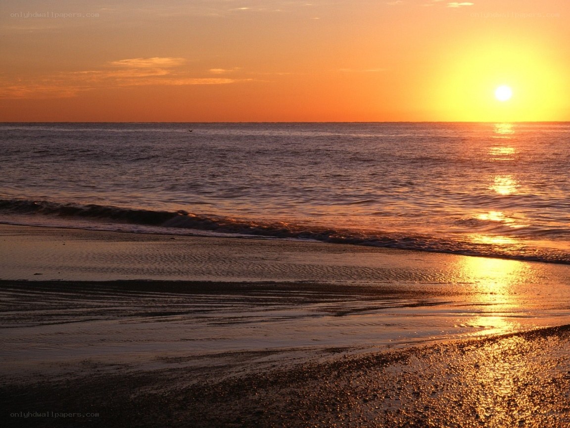 sunset at the beach