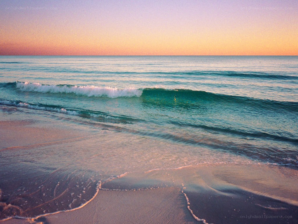 sunset at the beach
