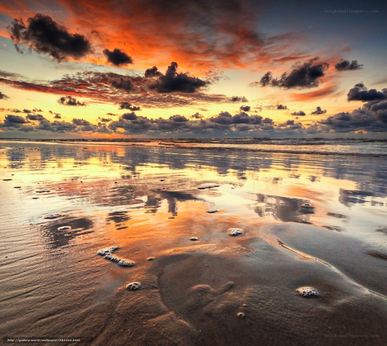 sunset at the beach