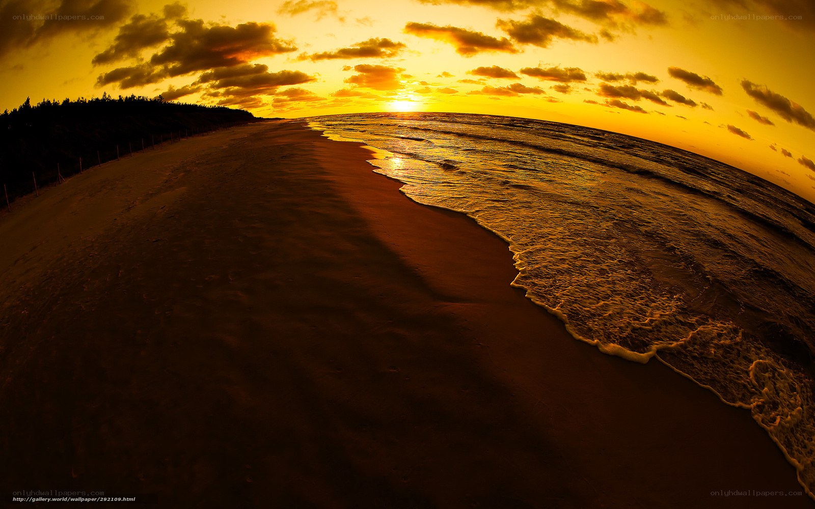 sunset at the beach