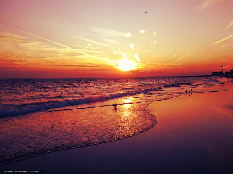 sunset at the beach