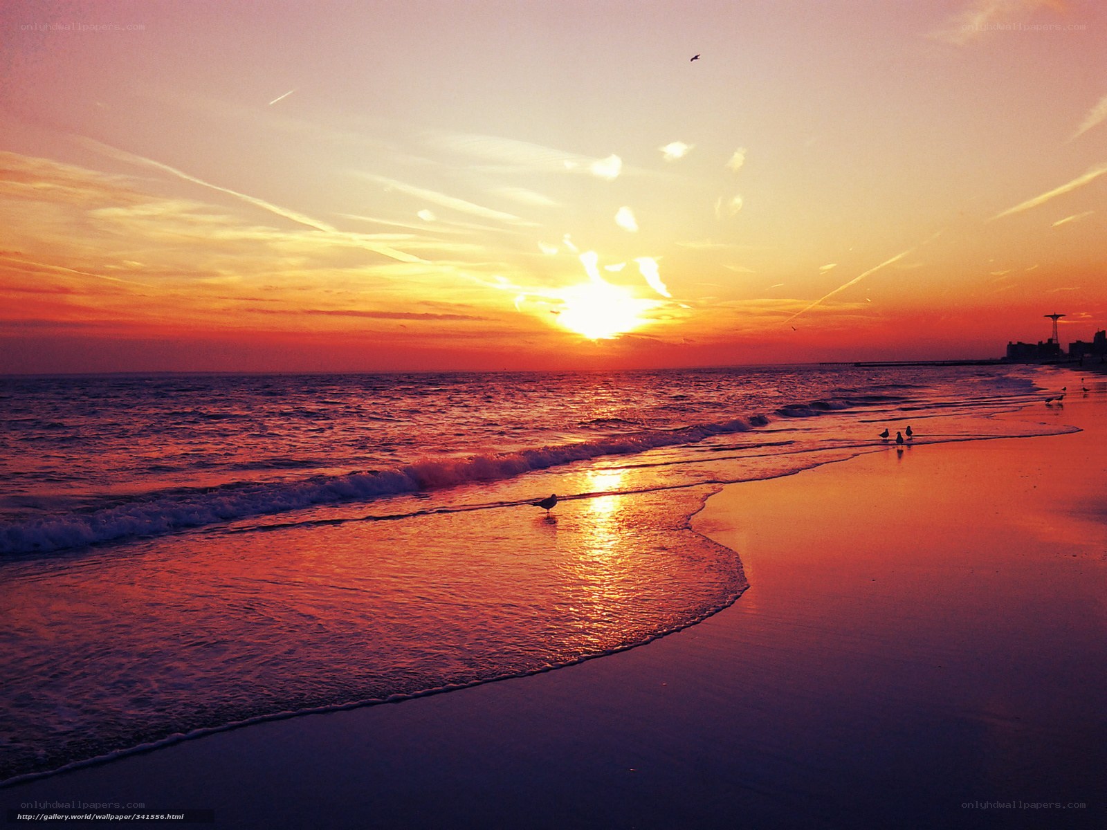 sunset at the beach