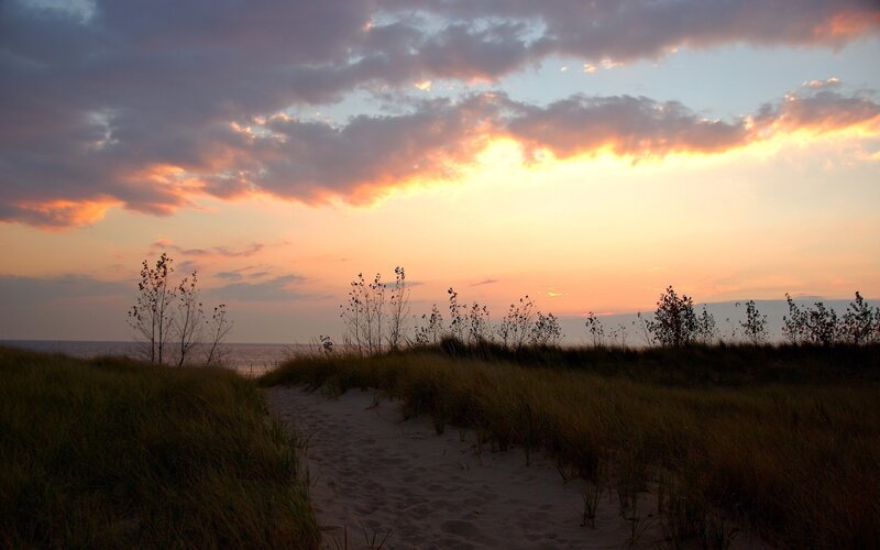 sunset at the beach dunes