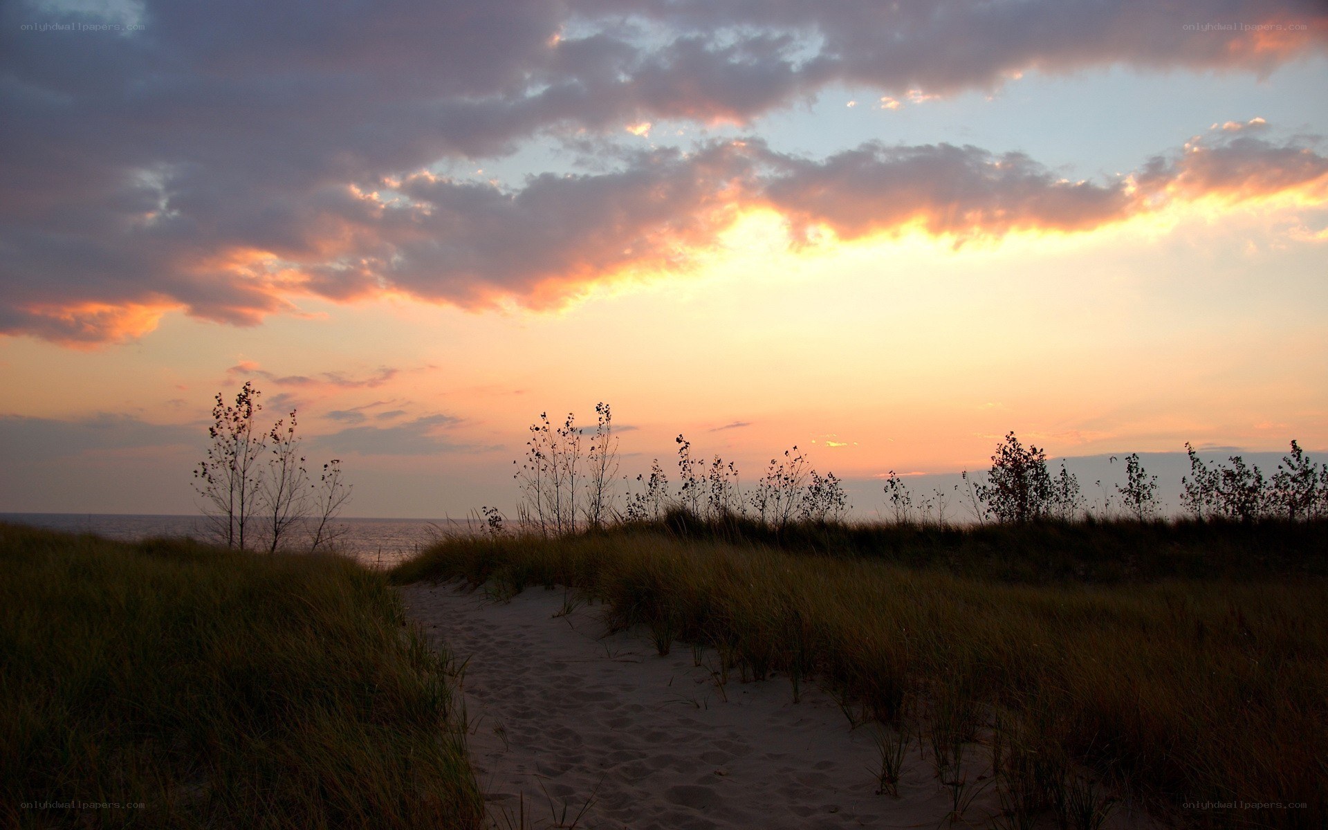sunset at the beach dunes